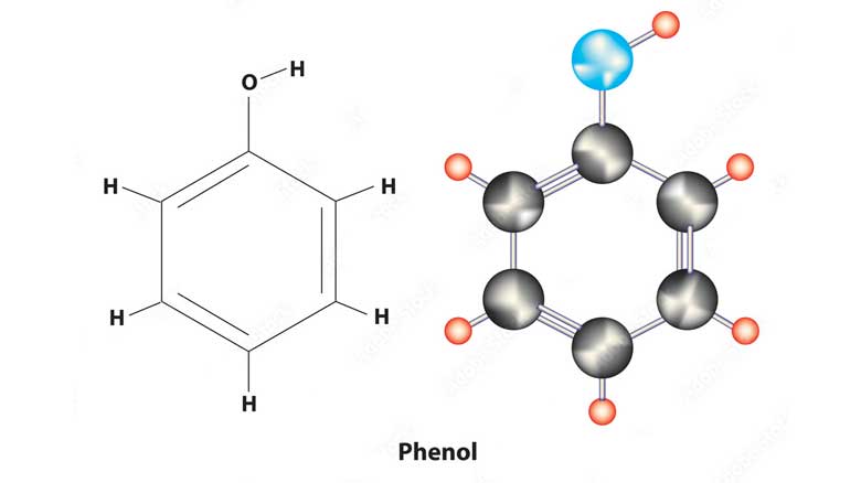 The Effect Of Phenol